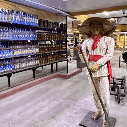 Tequila Testing Tour